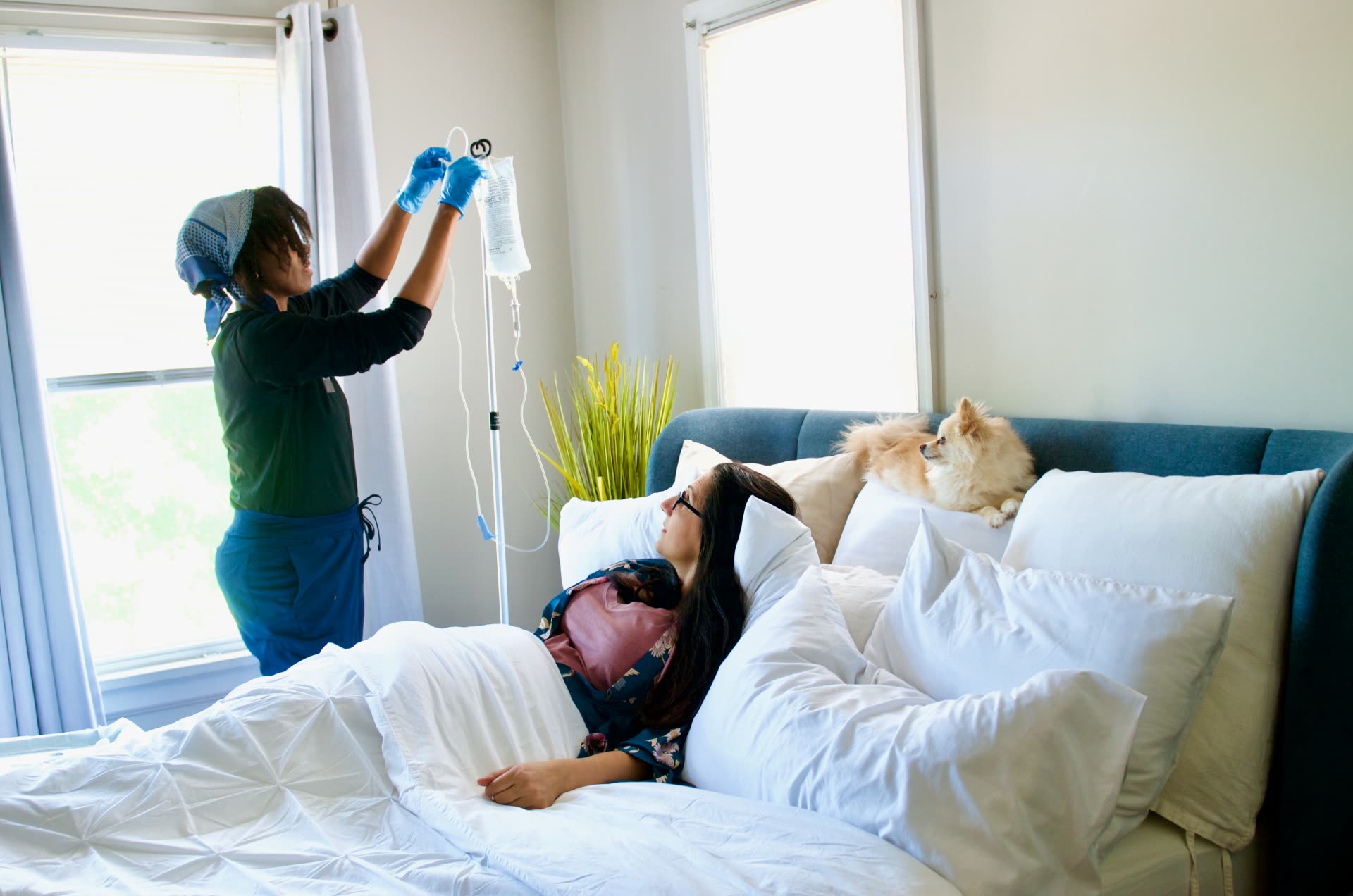 A registered nurse setting up an infusion while a client rests comfortably in bed at home with her dog